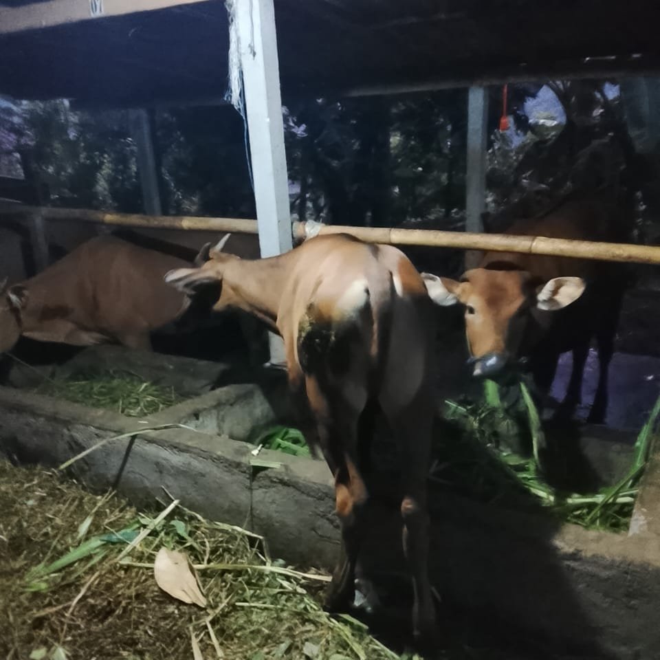 Dokumentasi Kerja BUMDes 4